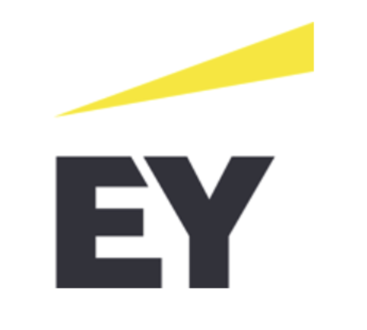 Ernst & Young LLP. logo