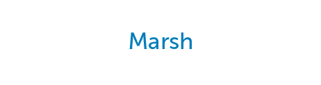 Marsh