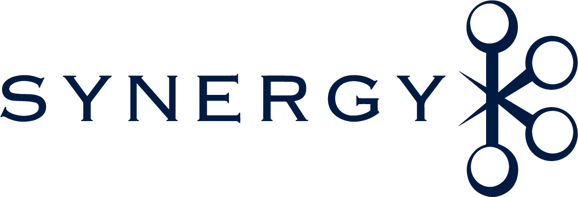 Synergy Financial, LLC