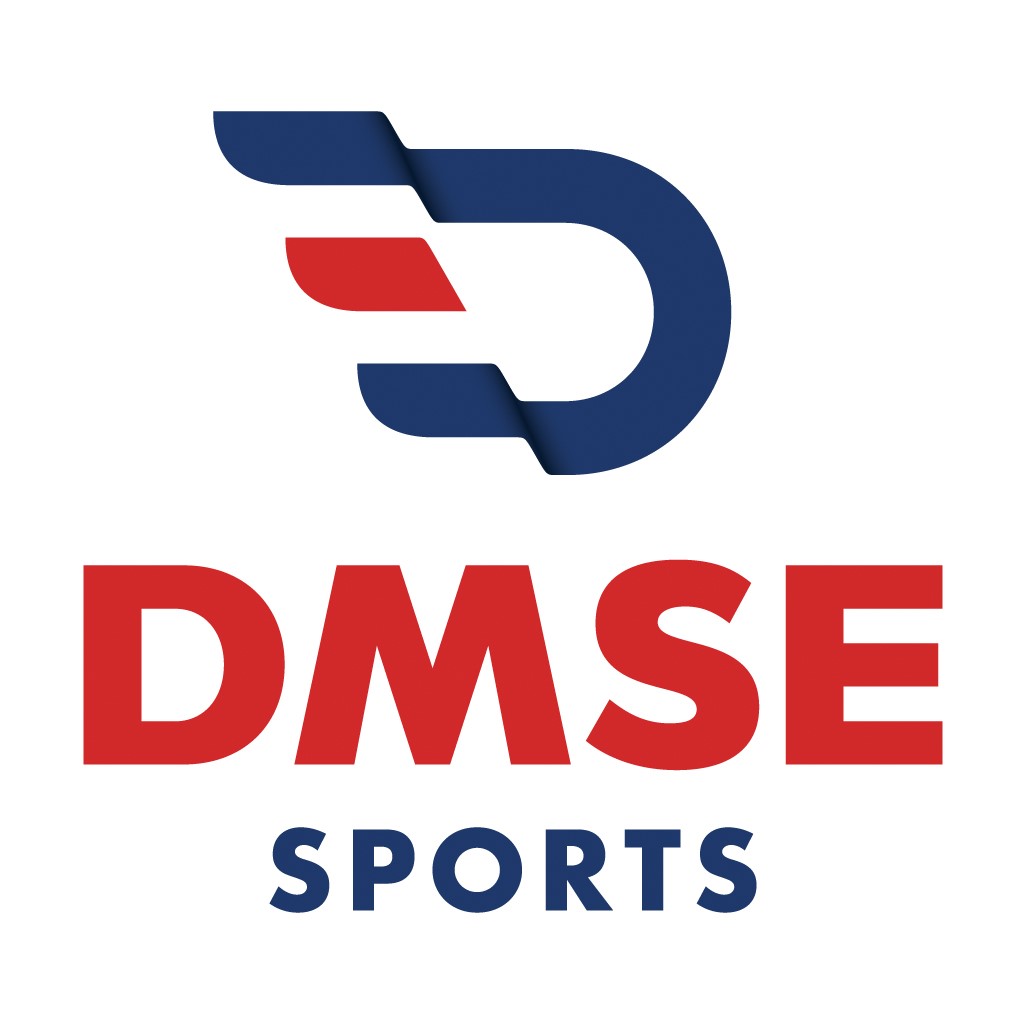 DMSE logo blue and red
