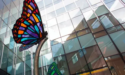 glass butterfly artwork inside building