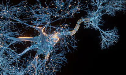 microscopic image of neurons firing