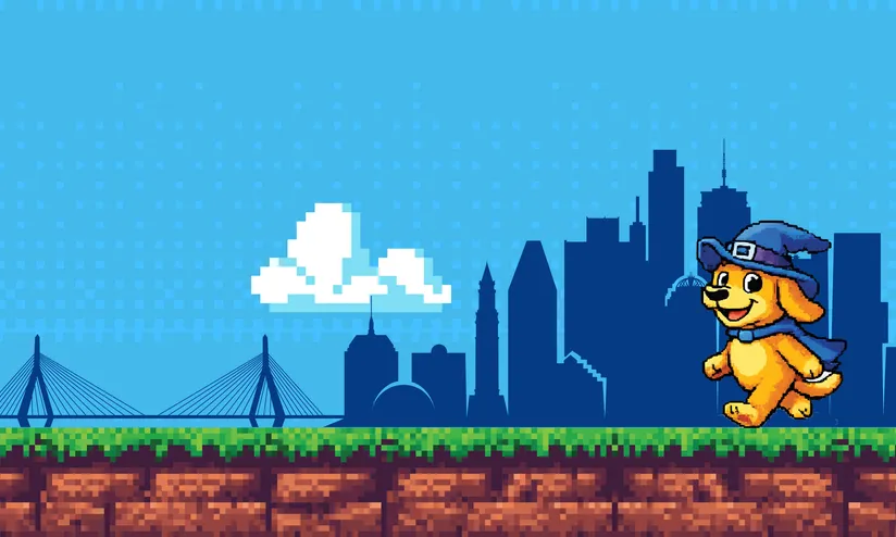 profile banner