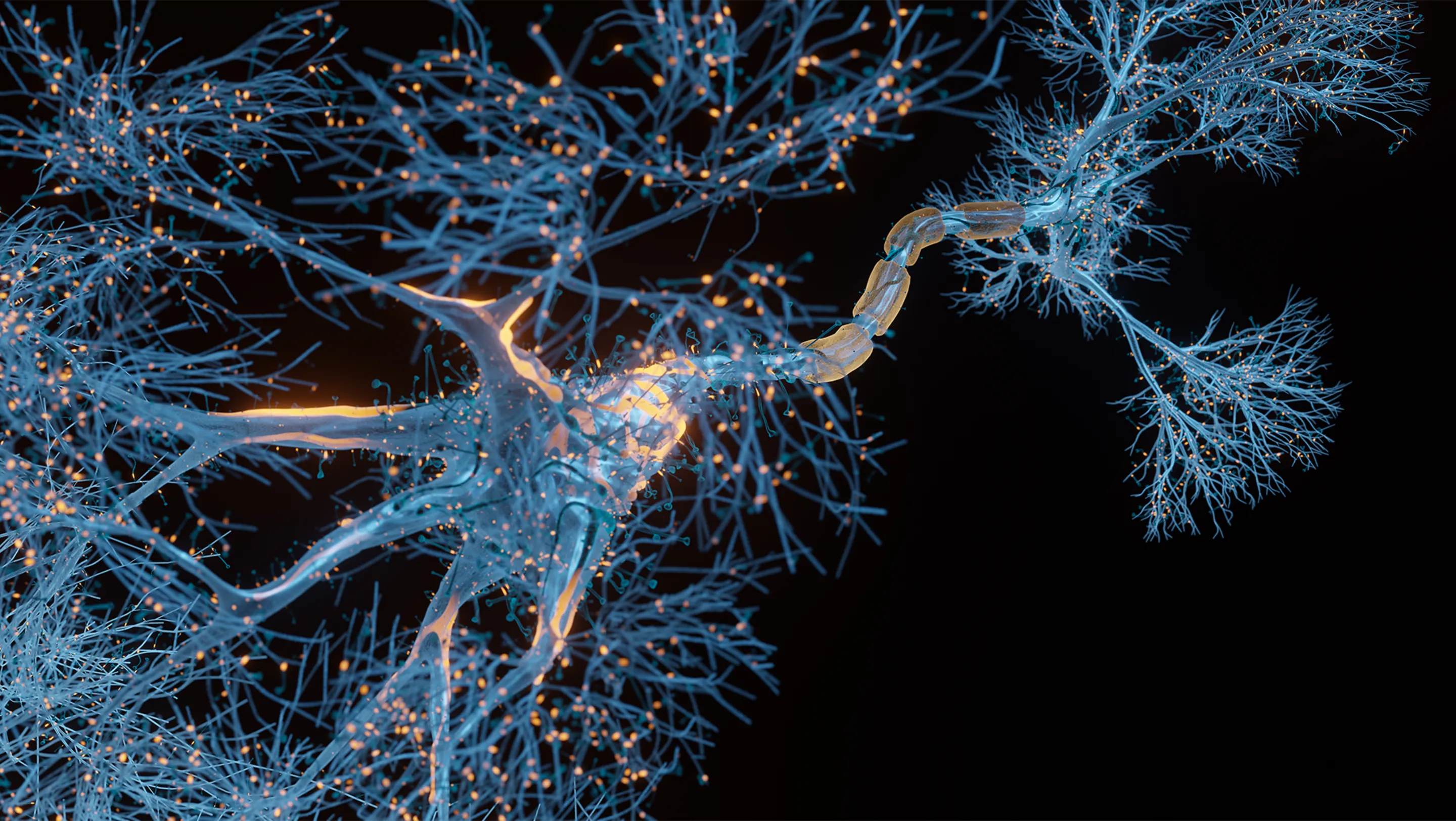 microscopic image of neurons firing