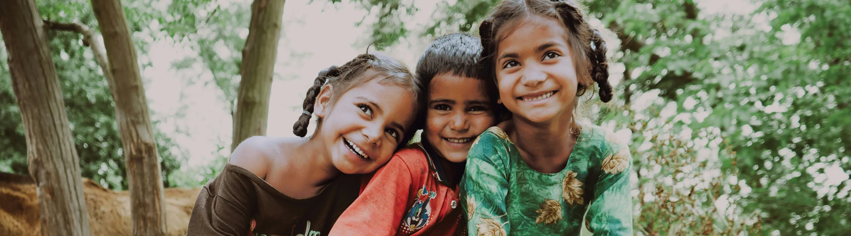 Three children sit on a tree and smile at the camera. They are hugging and holding hands, and a lush green forest can be seen in the background.