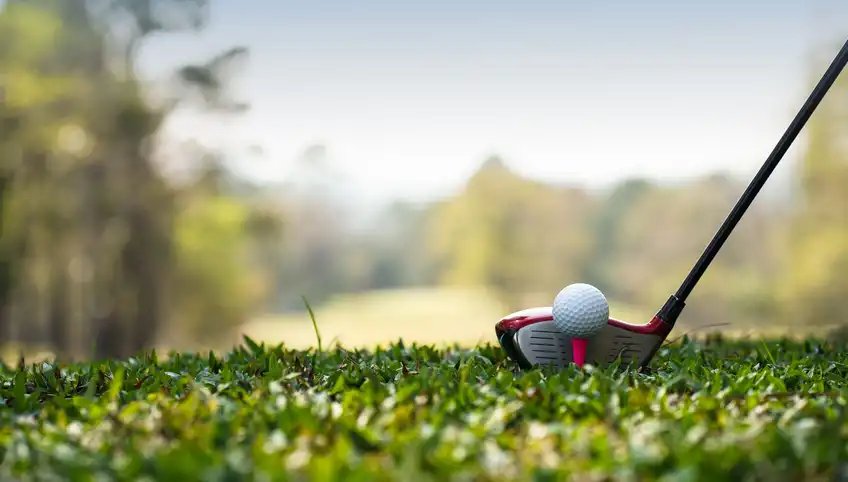 A closeup shot of a golf club and ball