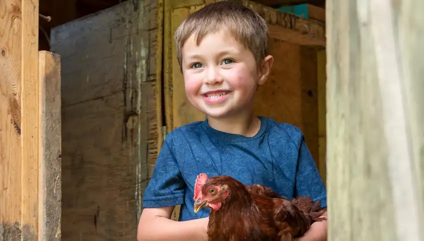 A young, smiling boy holds a chicken