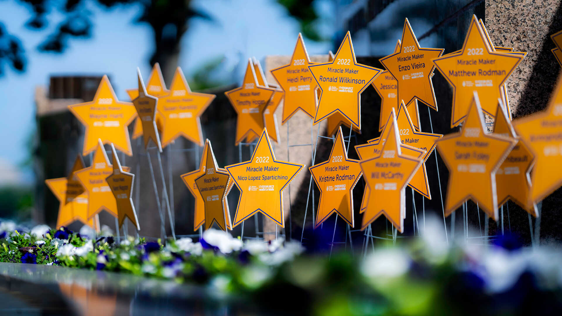 A flower bed filled with yellow stars printed with the names of Eversource Walk Miracle Makers