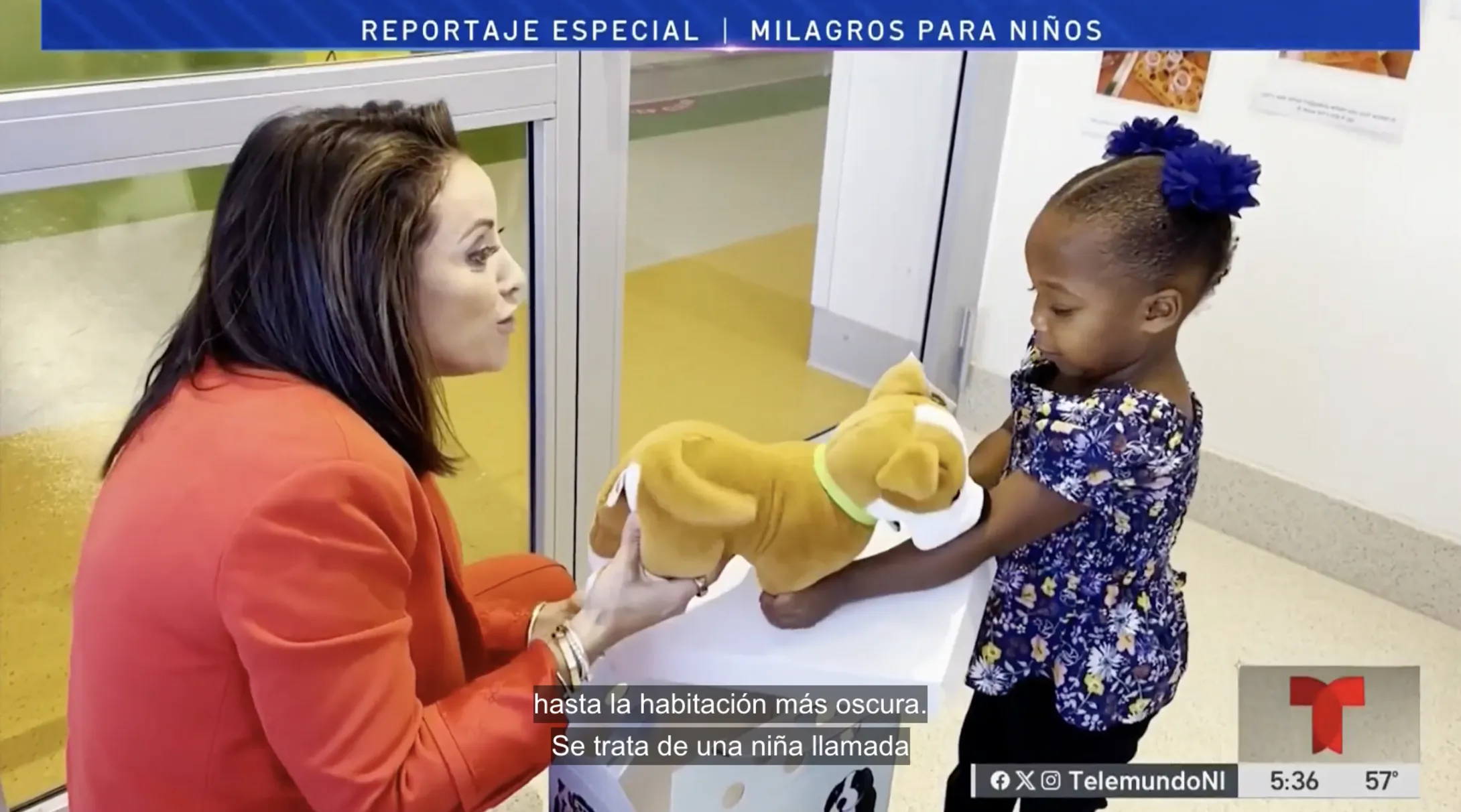 Woman giving child a stuffed animal