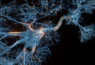 microscopic image of neurons firing